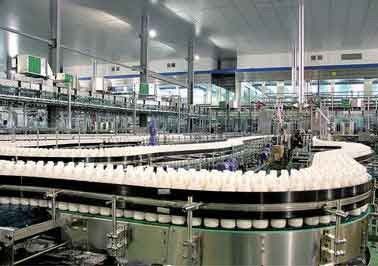 چین تولید بطری های PET ماشین آلات تولید نان بادام زمینی گردو / آب میوه های ذرت تامین کننده